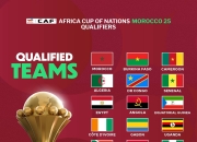 开云体育在线-非洲队崭露头角，联赛争夺激烈