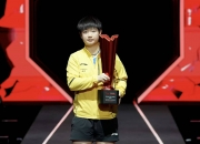 开云体育在线-瑞典球员斩获世界锦标赛冠军