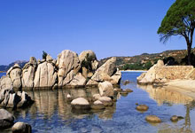 开云APP-印度队完胜中国队，郑思维点燃赛场