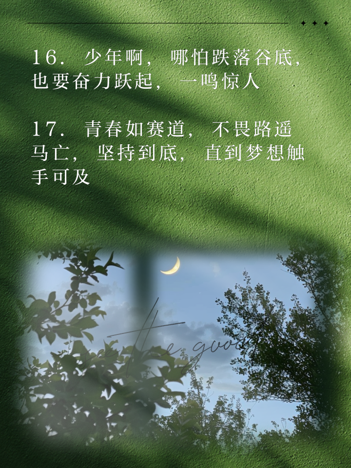 坚韧拼搏，青年军团疾风骤雨势如破竹！的简单介绍