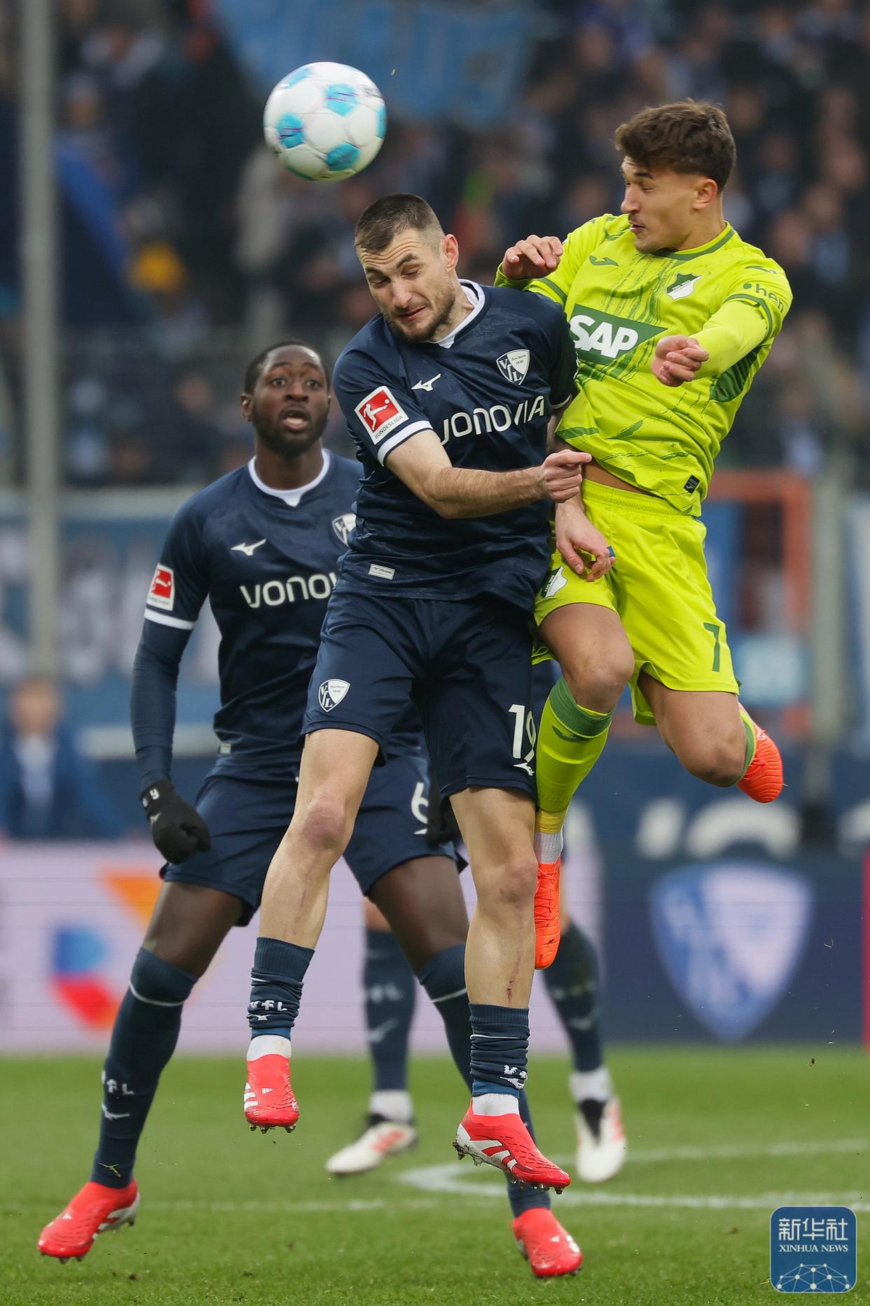 霍芬海姆主场告捷，扳回德甲胜局