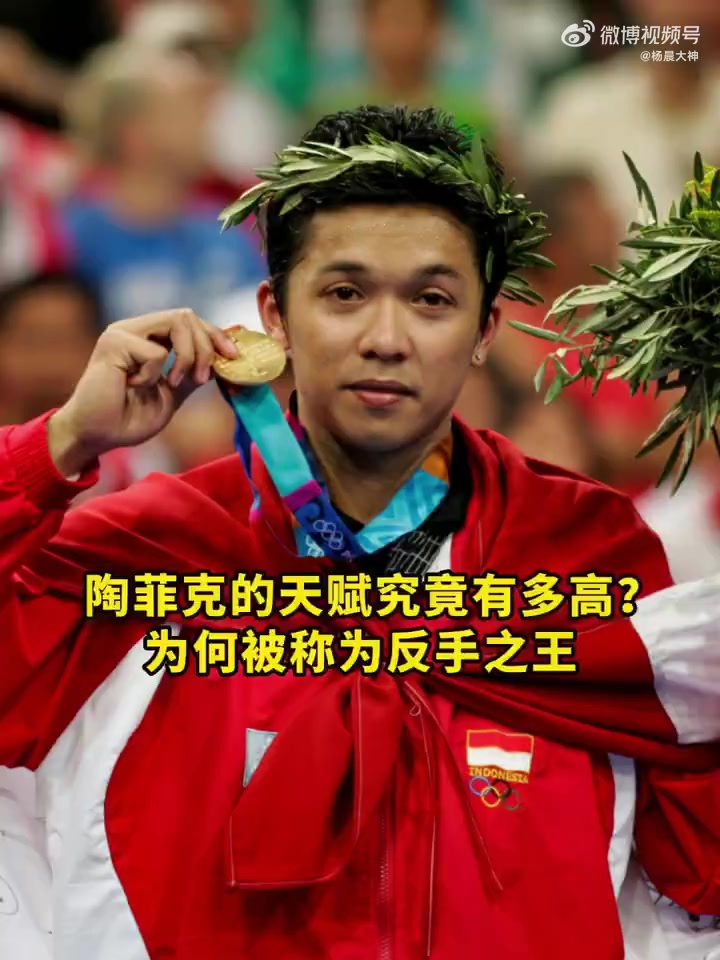 包含中国羽毛球队血洗泰国羽毛球队，陶菲克制霸全场的词条